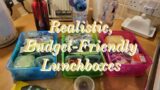 Realistic, Budget-Friendly Lunchboxes | School Trip Lunchbox | Busy Mum Life | School Lunches