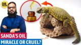 Sande Ka Tel Ki Haqeeqat | Sanda Oil: Does it Work? | Spiny-Tailed Lizard Oil | Dr. Ibrahim