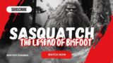 Sasquatch: The Legend of Bigfoot (Full Film) #bigfoot #cryptozoology #documentaries #bigfootmystery