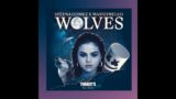 Selena Gomez, Marshmello – Wolves ( Terracotta Remix )