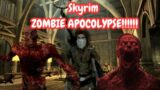 Skyrim but it's a Zombie Apocalypse