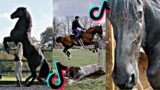 The Cutest HORSES Equestrian TikToks Compilation 54