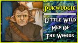 The Mysterious PUKWUDGIE : Little Wild Men Of The Woods  ( Mythical Creatures )