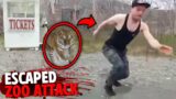 These 3 Zoo Visitors Were Fatally Mauled By Escaped Animals!