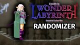 This Beautiful Metroidvania FINALLY has a Randomizer! – Deedlit in Wonder Labyrinth