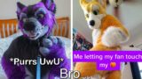 Tiktok Furries SCARE ME…