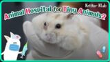 Today's Patient: Dwarf Hamster, Hodu l Animal Hospital For Tiny Animals 2
