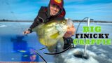 Tricking FINICKY Crappie To BITE!