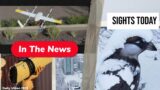 Vancouver Snow Shutdowns, New Wing Drone Delivery Fleet, Marine Corps Drone Counter
