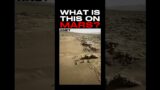 WHAT IS THIS ON MARS THAT NASA IS HIDING? #nasa #universe  #shorts