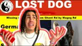 We LOST our DOG!!!  ** Prank **