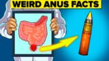 Weird Facts About the Anus