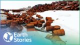 Why Have Toxic Chemicals Migrated To The Arctic? | Journey to Planet Earth | Earth Stories