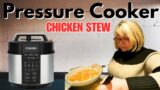 You Got To Try Chicken Stew in The Pressure Cooker