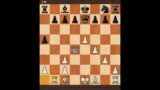 #chesss #chessgrandmaster #chessman #chessmaster #chessgame #chessplayer #chesspuzzle #chessboard