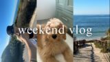 weekend vlog– running, baking, kobe's bath day, night time skin & hair care routine, chill sunday