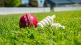 ‘Beyond satire’: Cricket Australia receives backlash over Australia Day decision