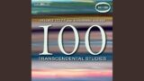 100 Transcendental Studies (Excerpts) : No. 99, Quasi fantasia