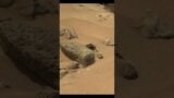 Mars Space Clash #youtubeshorts #nasaupdates #marsspacenews
