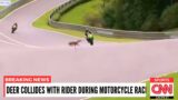 20 Most RIDICULOUS Moments In Motorcycle Racing History