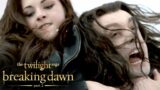 'Bella & Edward Kill Aro' Scene | The Twilight Saga: Breaking Dawn – Part 2