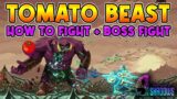 9 YEARS OF SHADOW Tomato Beast Boss Fight