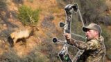 A Late Season Archery Elk Hunt | Fresh Tracks Season 10!