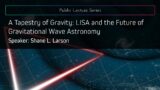 A Tapestry of Gravity: LISA and the Future of Gravitational Wave Astronomy
