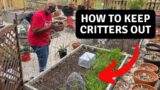 A Way To Keep Critters OFF Of Your Garden Plants