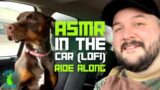 ASMR // ASMR RiDE ALONG (iN THE CAR) WiTH VANCE (LOFi ASMR)