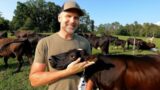 Against All Odds: Man Creates Thriving Regenerative Farm In 18 Mins! Get Inspired Today!