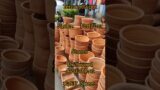 All Types of #terracotta #planter Driftwood, Sinder #fertilizer Available at #galiffstreet
