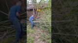 Austin to the rescue #friendship #bros #howtocuttrees #backyard #funnyshorts  #clearingyard  #humor