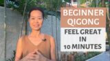 BEGINNER QIGONG | FEEL GREAT IN 10 MIN