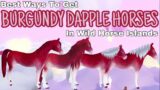 BEST WAYS To Get BURGUNDY DAPPLE HORSES! Valentines Event in Wild Horse Islands