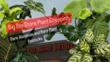 Big Box Store Plant Shopping Rare Alocasias at Home Depot Plant Restock House Plants