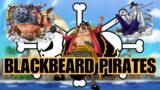 Blackbeard Pirates | Ten Titanic Captains | One Piece