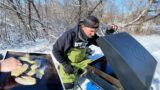 Blackstone Griddle Crappies & Dangerous Ice! (COOK AND CATCHES)