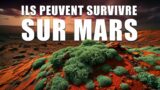 Ces ESPECES peuvent survivre sur MARS ou dans l'ESPACE ! Documentaire 2024