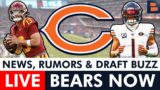 Chicago Bears Now: Live News & Rumors + Q&A w/ Harrison Graham (Feb. 12)