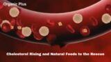 Cholesterol Rising | Natural Foods to the Rescue | Factors Contributing to High Cholesterol