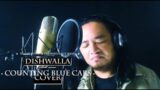 Counting Blue Cars – Dishwalla (Cover)