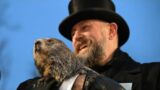 Did the groundhog see his shadow See results of Punxsutawney Phil's 2024
