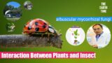 Discovery of the Interactions between Plants and Critter | fungi | The Earth Time