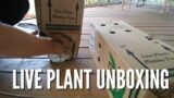 Do you mail order plants? | Another critter in the live Trap | Exploring South Bend's Howard Park