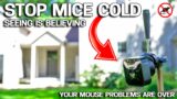 EASY WAY to Get Rid of Mice in Your House FOREVER – No More Mousetraps!
