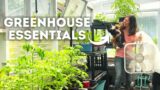 Essential Tips & Supplies for Beginner Greenhouse Gardeners