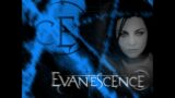 Evanescence Medley
