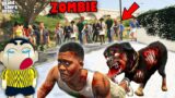 FRANKLIN SHINCHAN and CHOP Survived Zombie Virus In GTA 5 Zombie outbreak zombie apocalypse