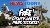 Free Disney Water Park Tickets, Groot Takes Root at EPCOT, Anniversary Monorail Ticket